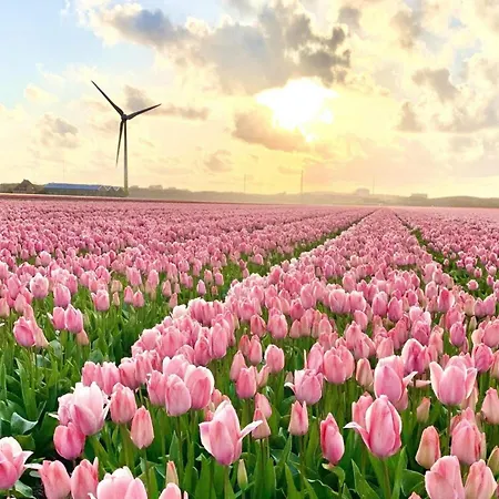 Cozy Retreat, By The